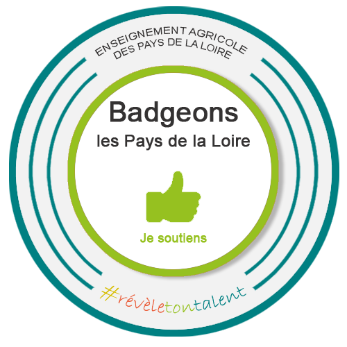 Soutien du projet Open Badge  Pays de la Loire